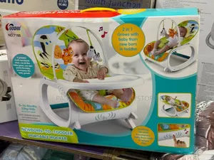 Newborn to Toddler Rocker