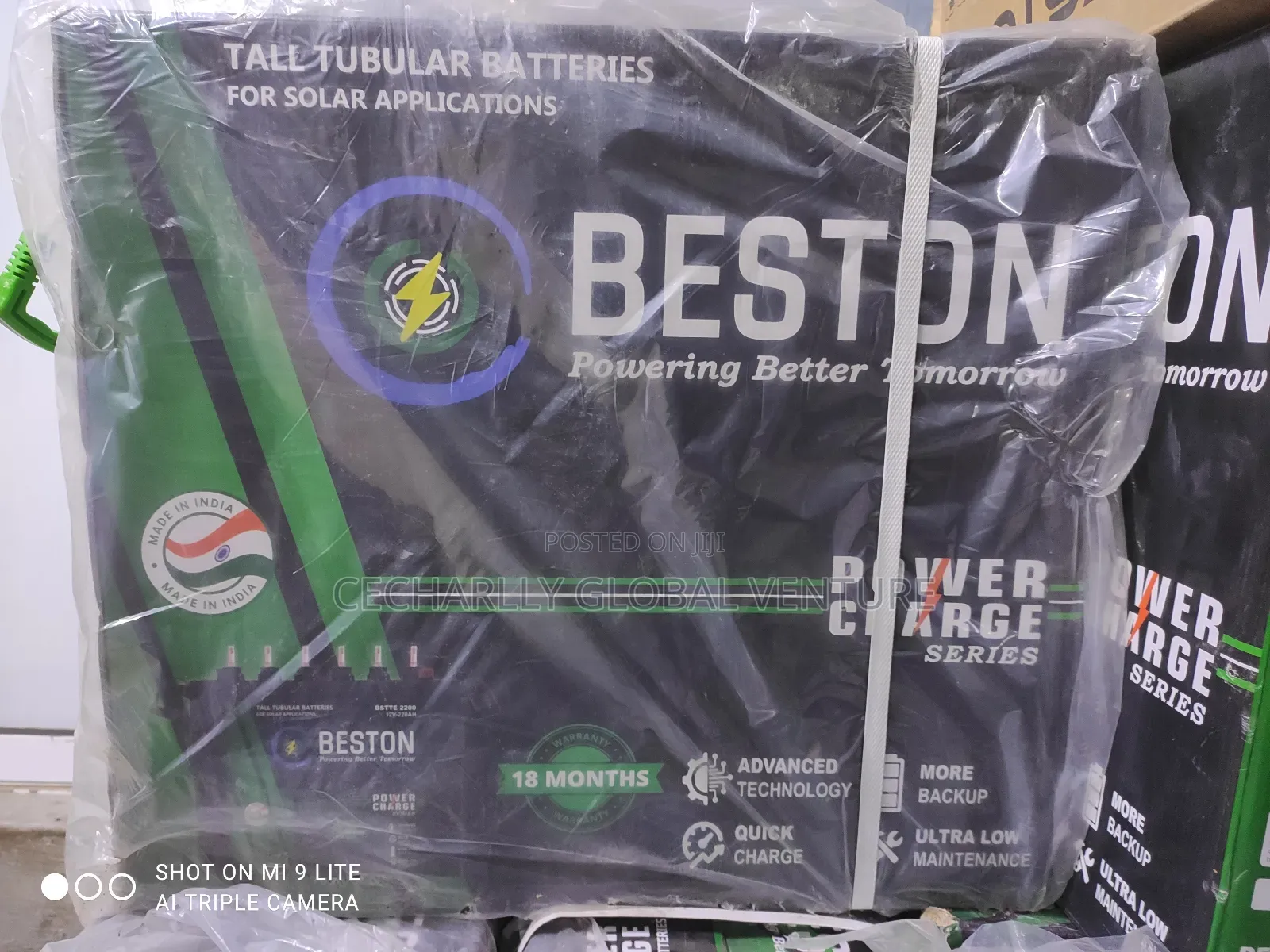 Beston Tubular Battery