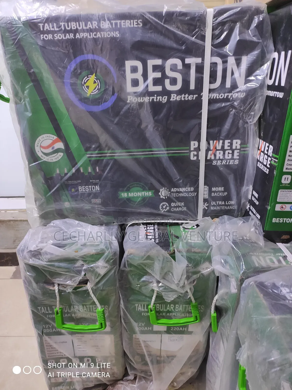 Beston Tubular Battery