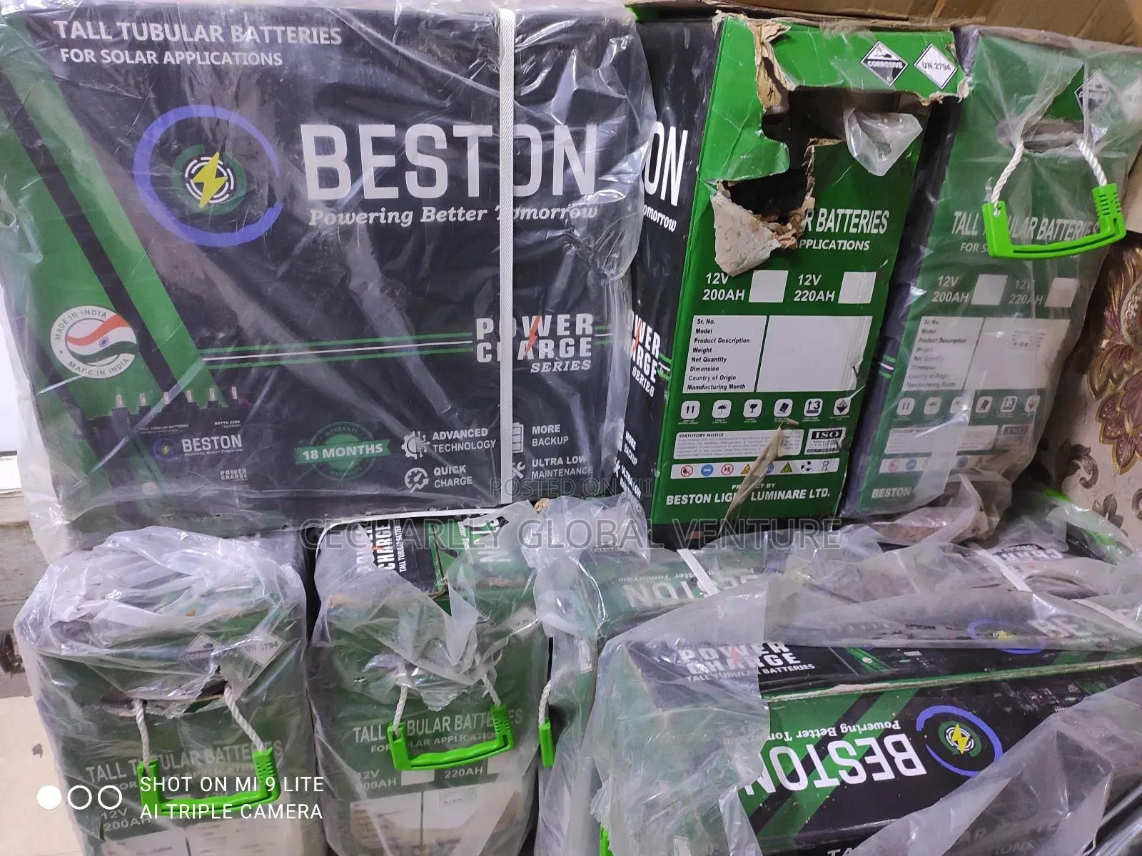 Beston Tubular Battery
