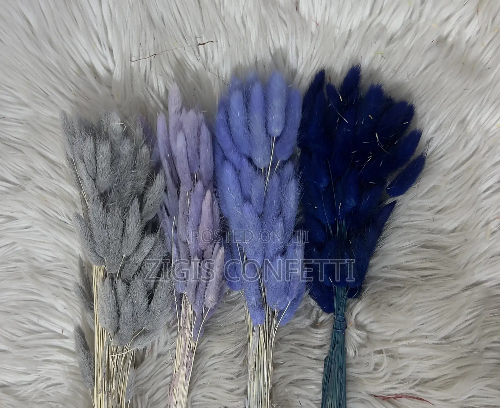 Bunny Tails Dried Flower