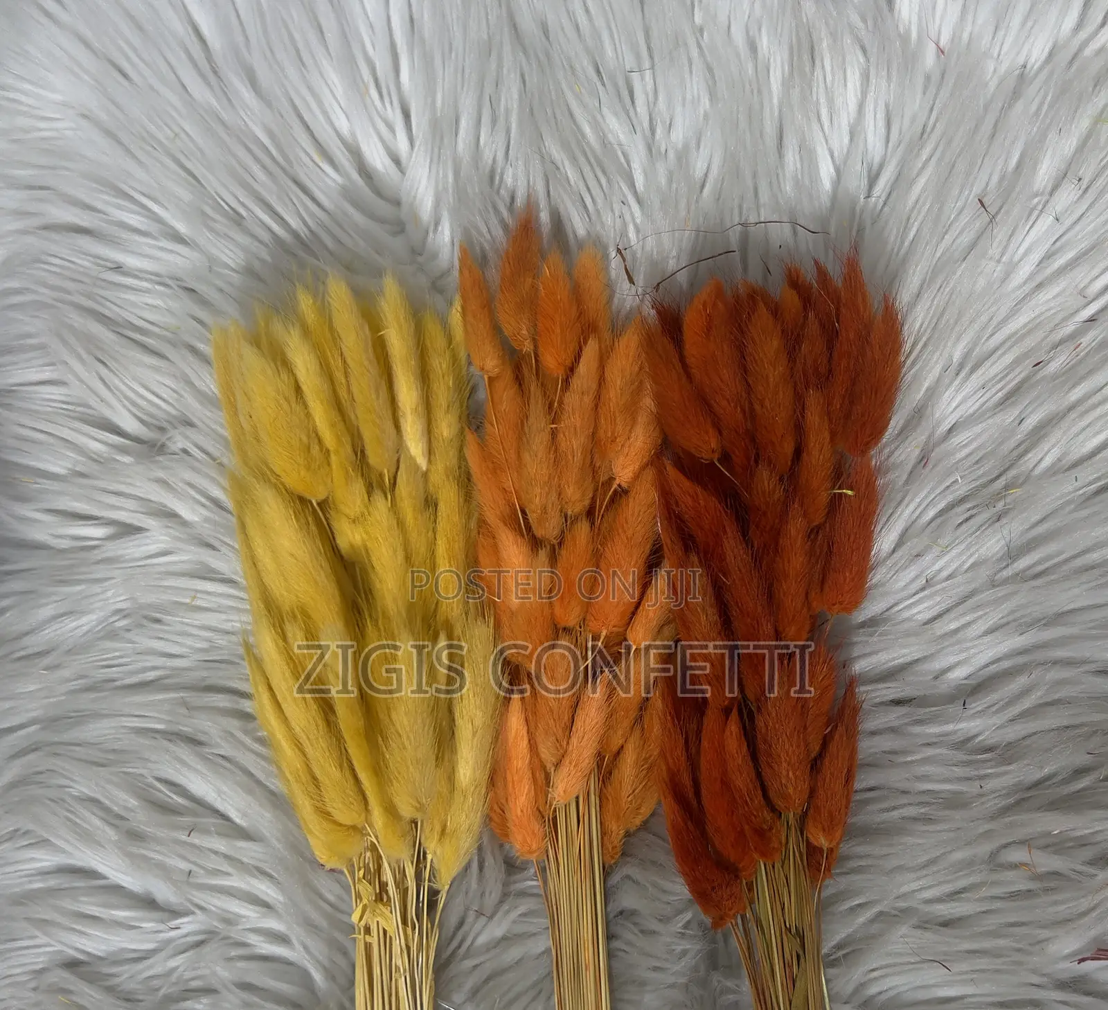 Bunny Tails Dried Flower