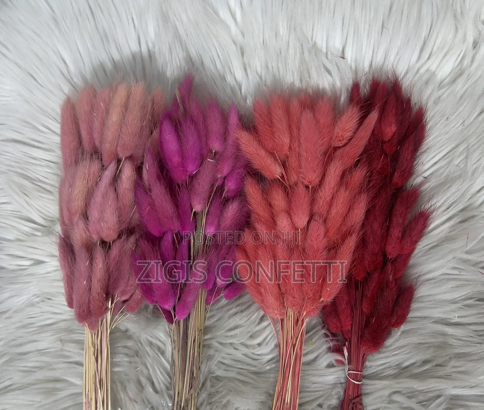 Bunny Tails Dried Flower