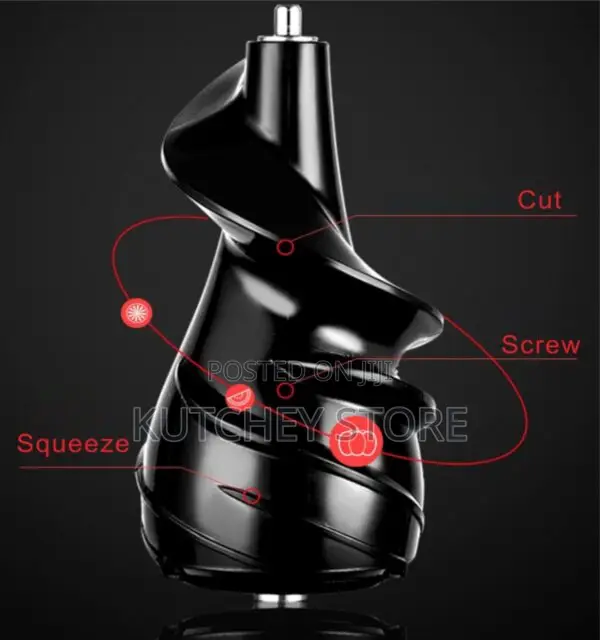 Raylux Cold-Press Slow-Masticating Juicer With Ac Motor
