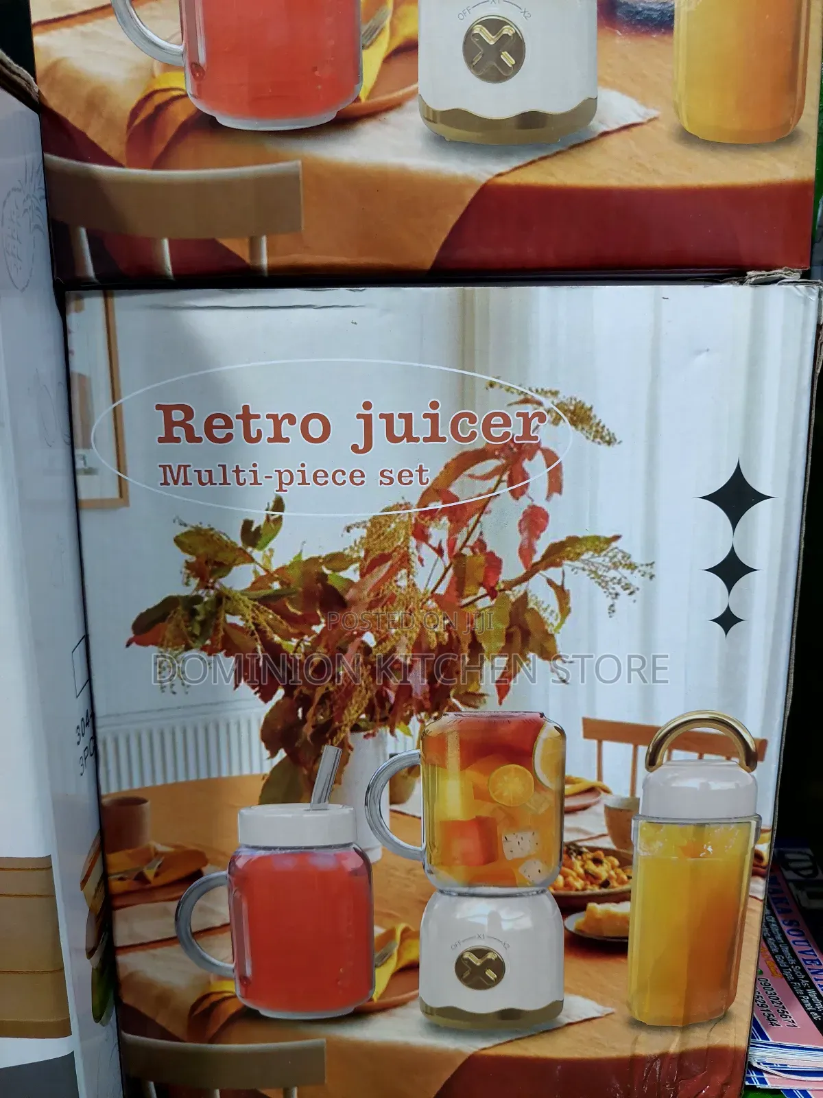 Quality Rechargeable Retro Juice Blender (10 Blades)