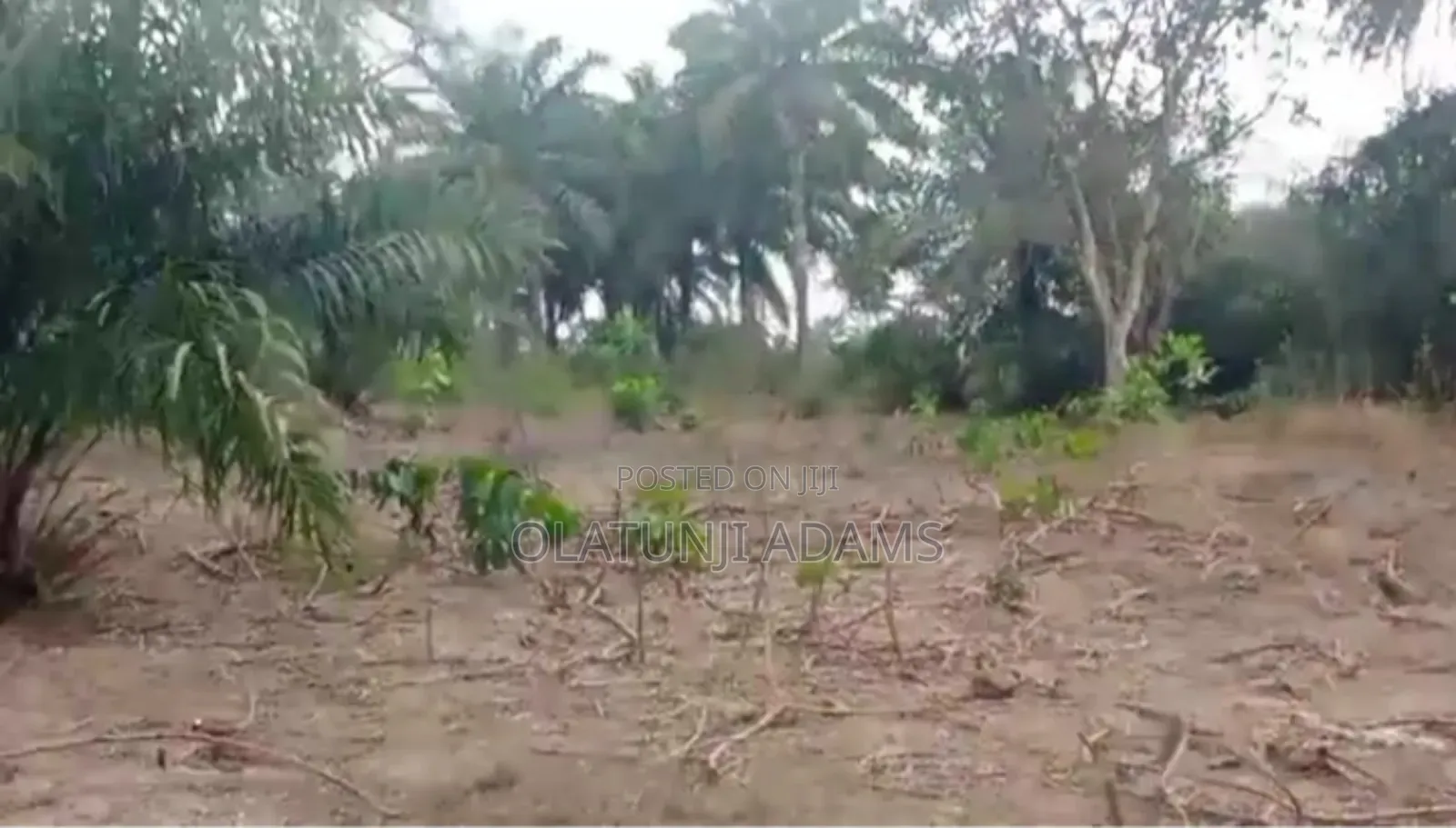 3000acres of Farmland at Ikire Town