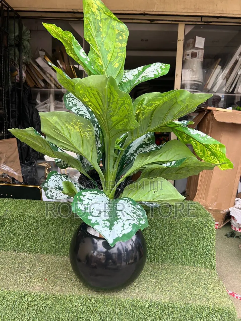 Indoor/Outdoor Fibre Vase and Plant