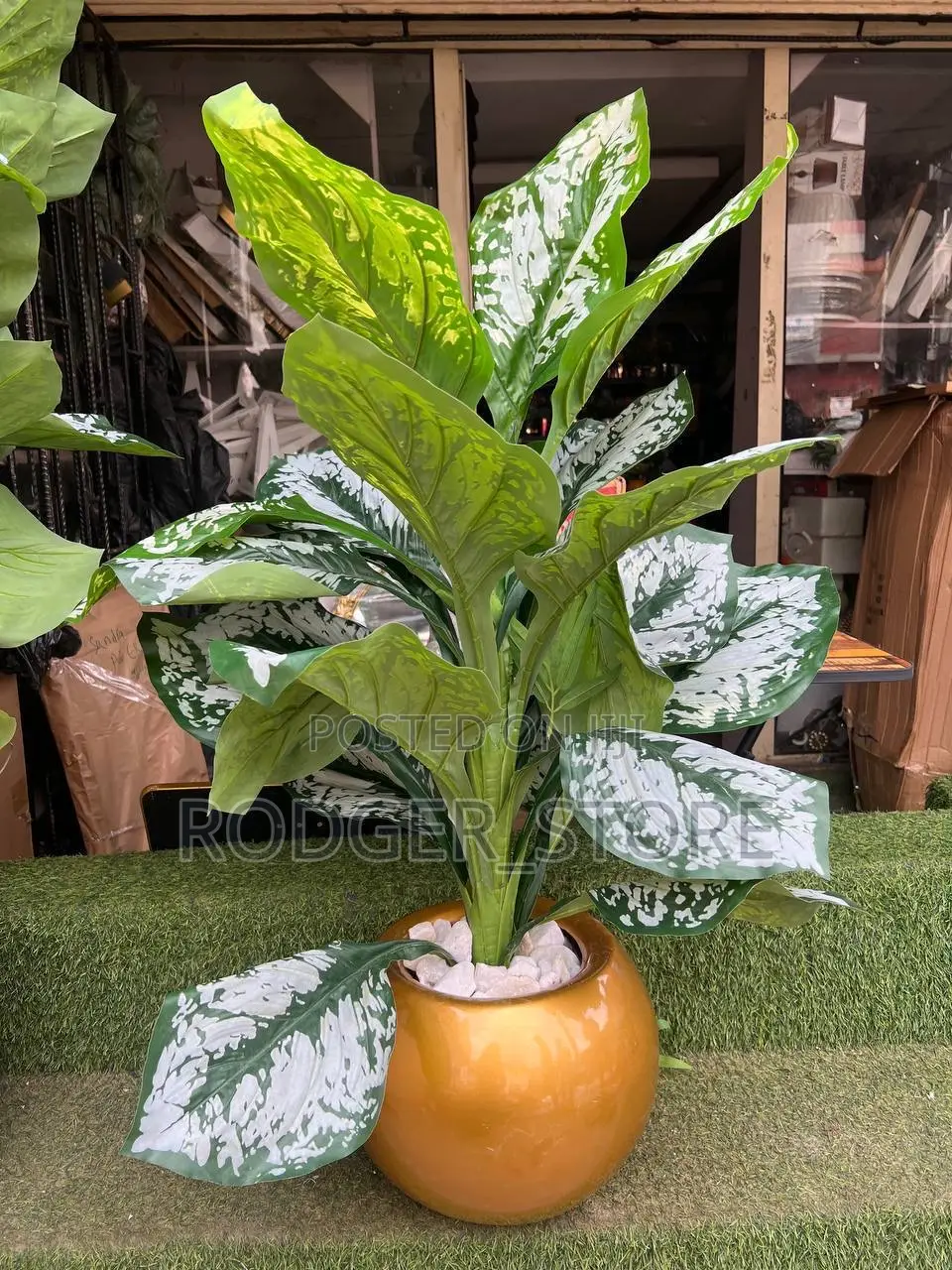 Indoor/Outdoor Fibre Vase and Plant
