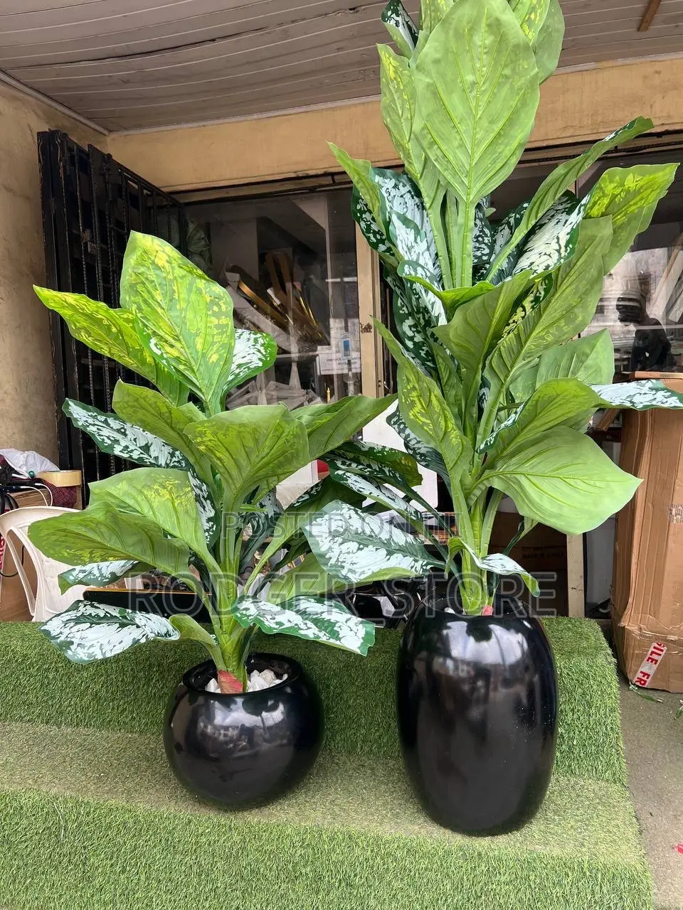 Big Indoor/Outdoor Fibre Vase and Plant Oval Pot