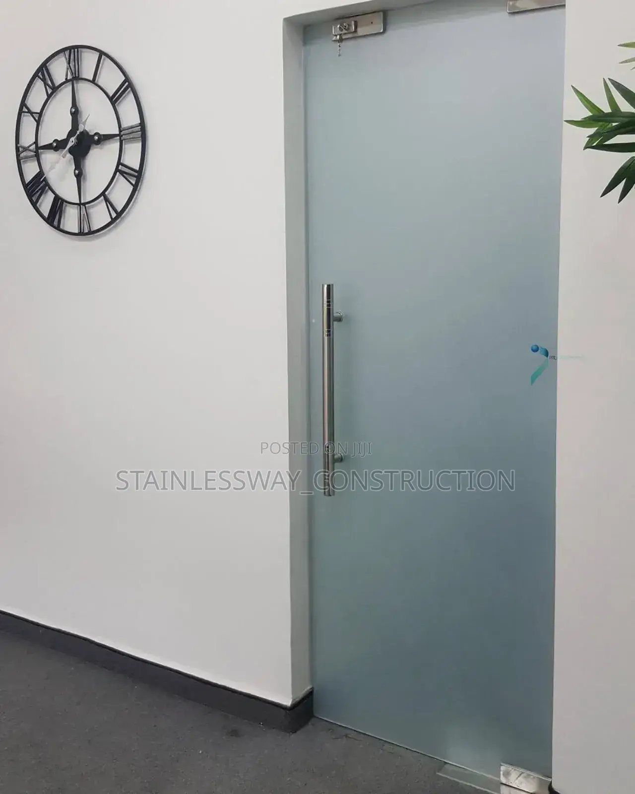 Frosted Swing Door