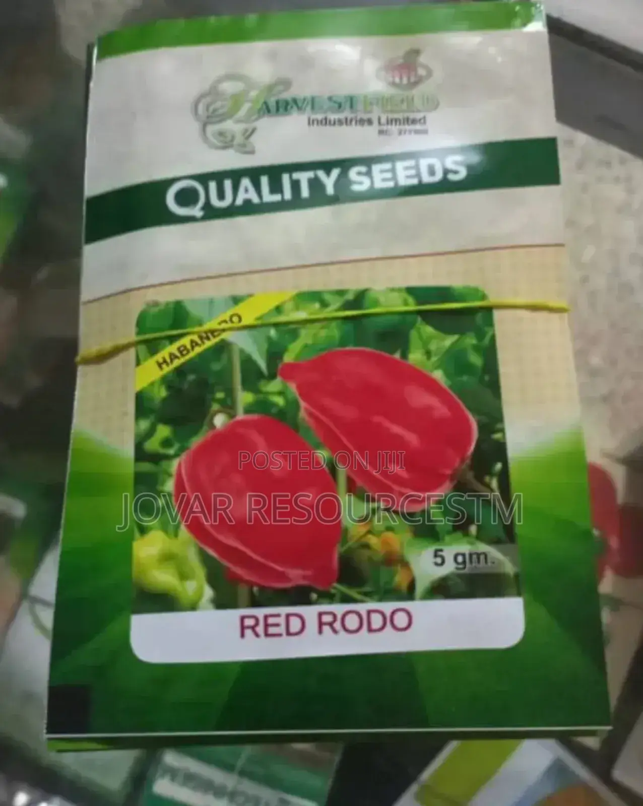 Best Hot Pepper Scotch Bonnet Ata Rodo Habanero Seed Seedlng