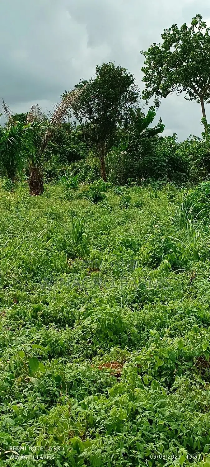 Amazing Farm Land