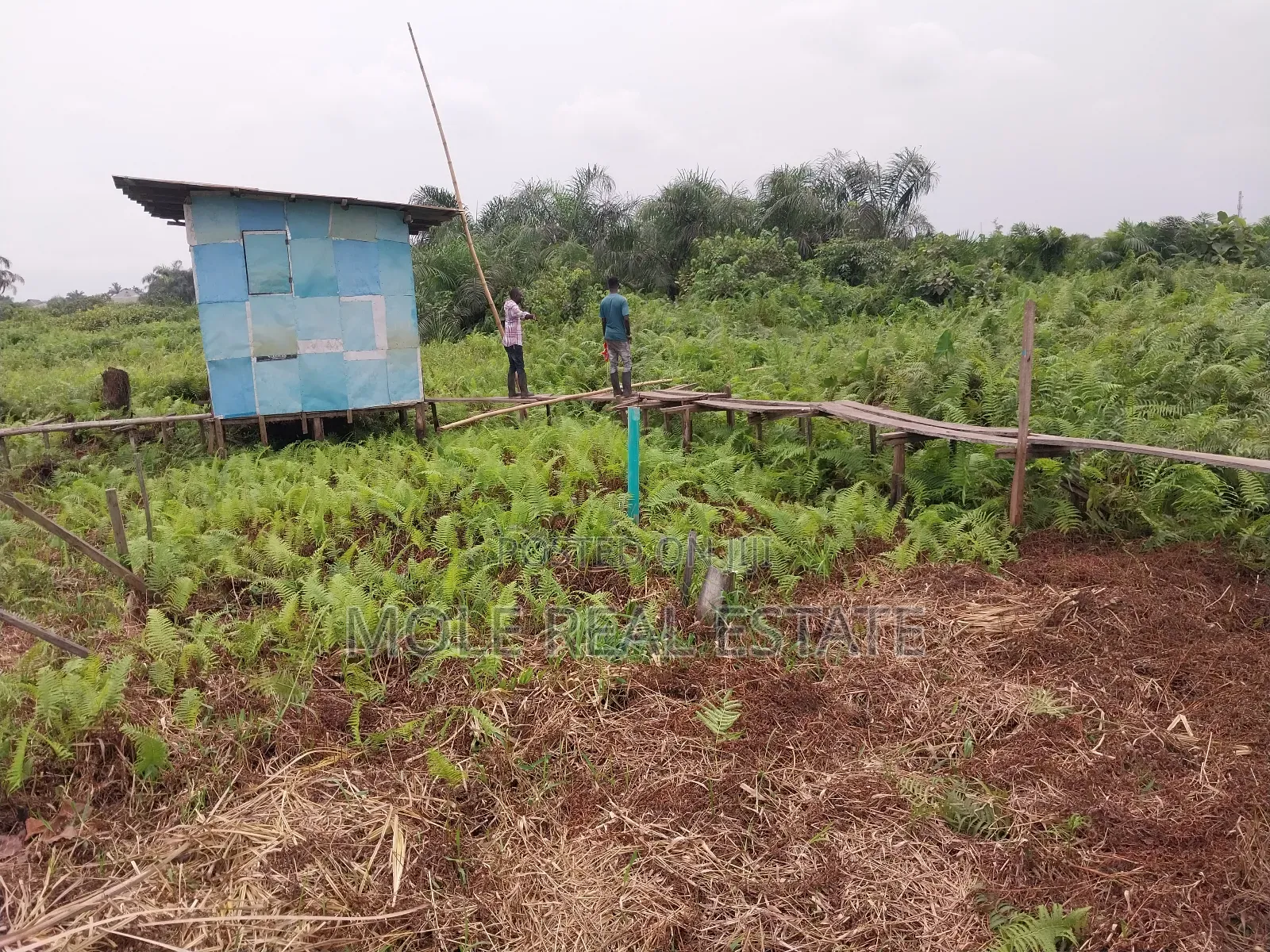 13 Plots of Land 4 Sale at Shasha Near Air Force Alimosho