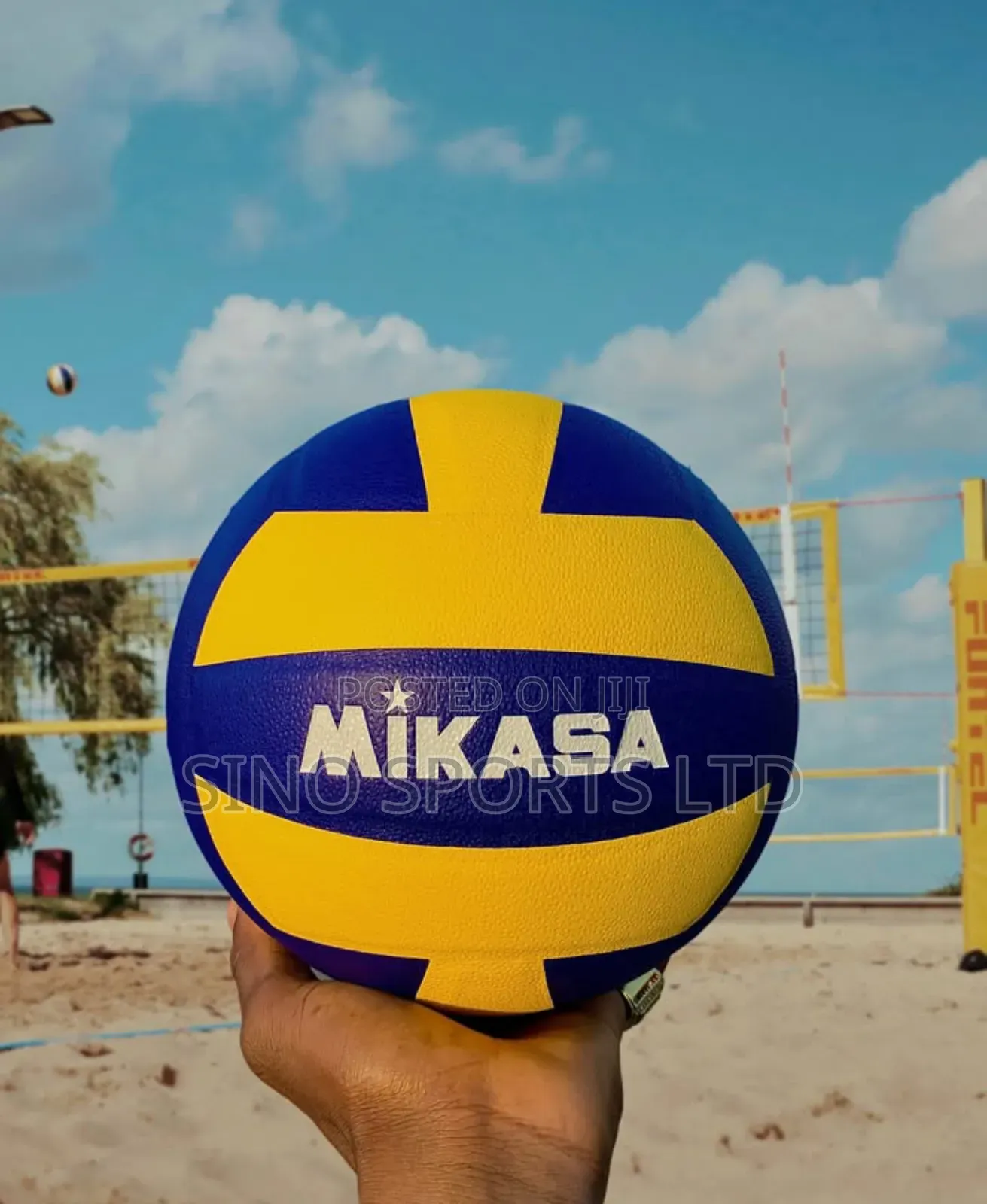 Mikasa Volleyball