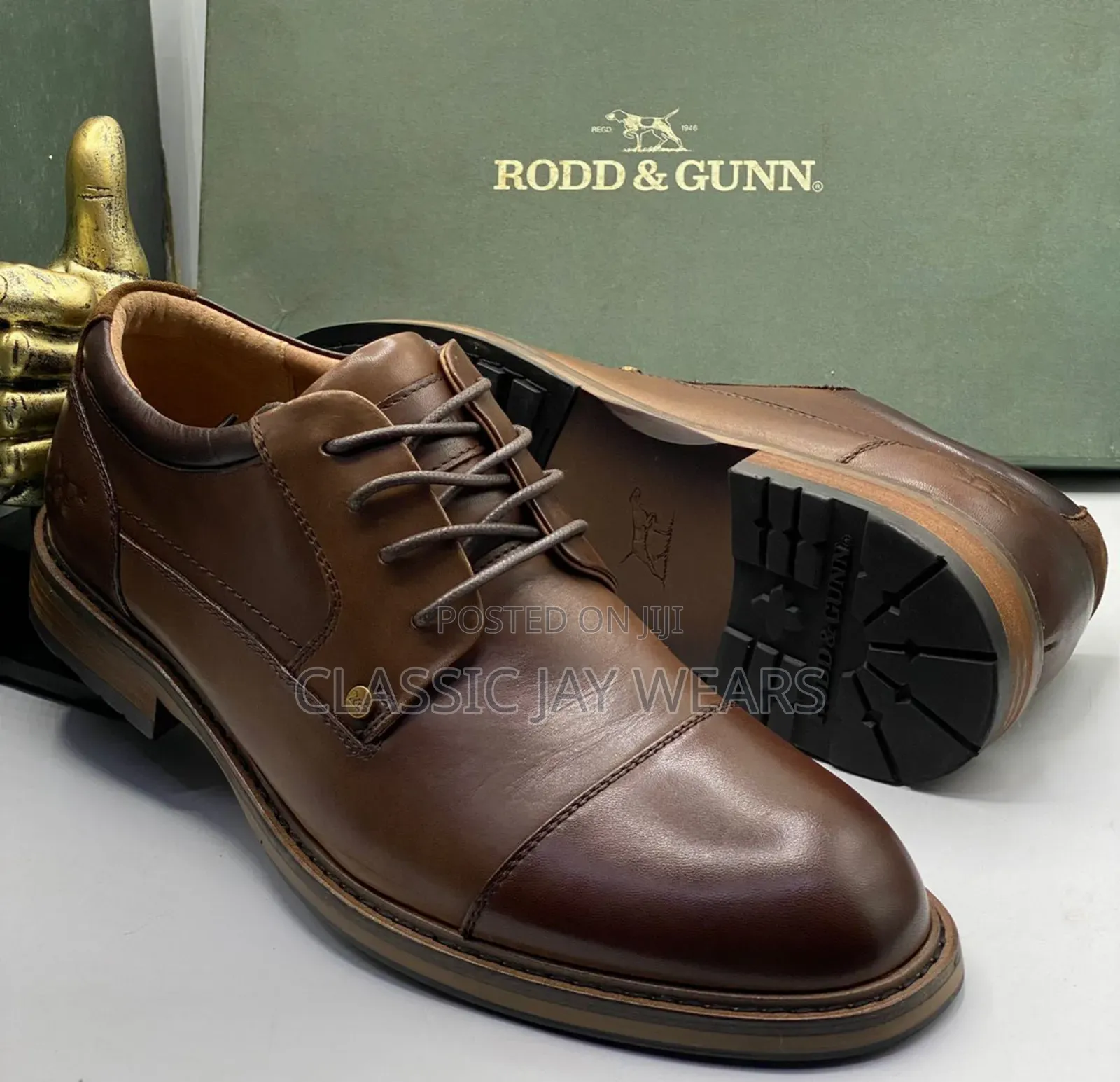 4 Different Species of Brown Pure Leather Lace Up