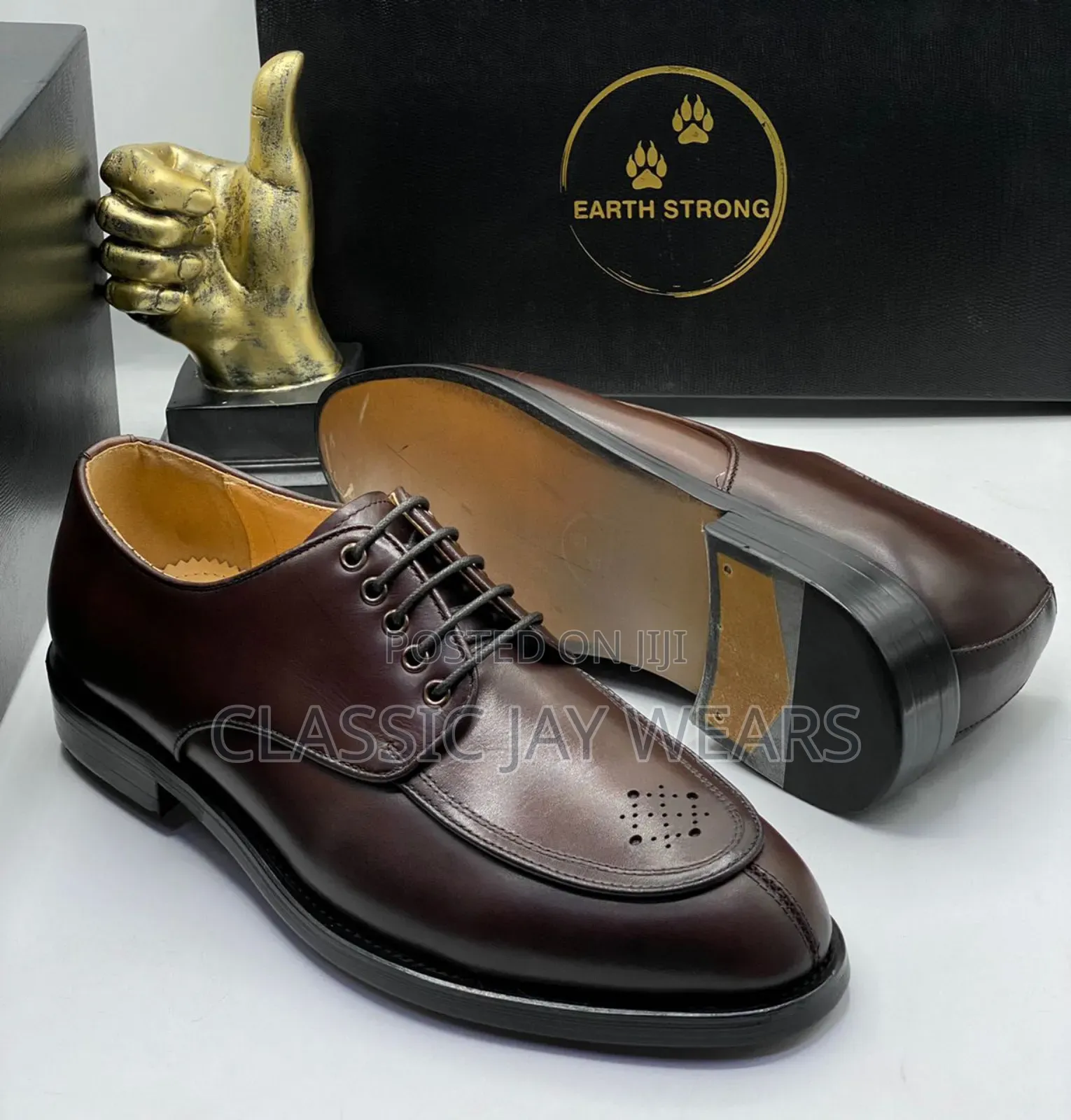 4 Different Species of Brown Pure Leather Lace Up
