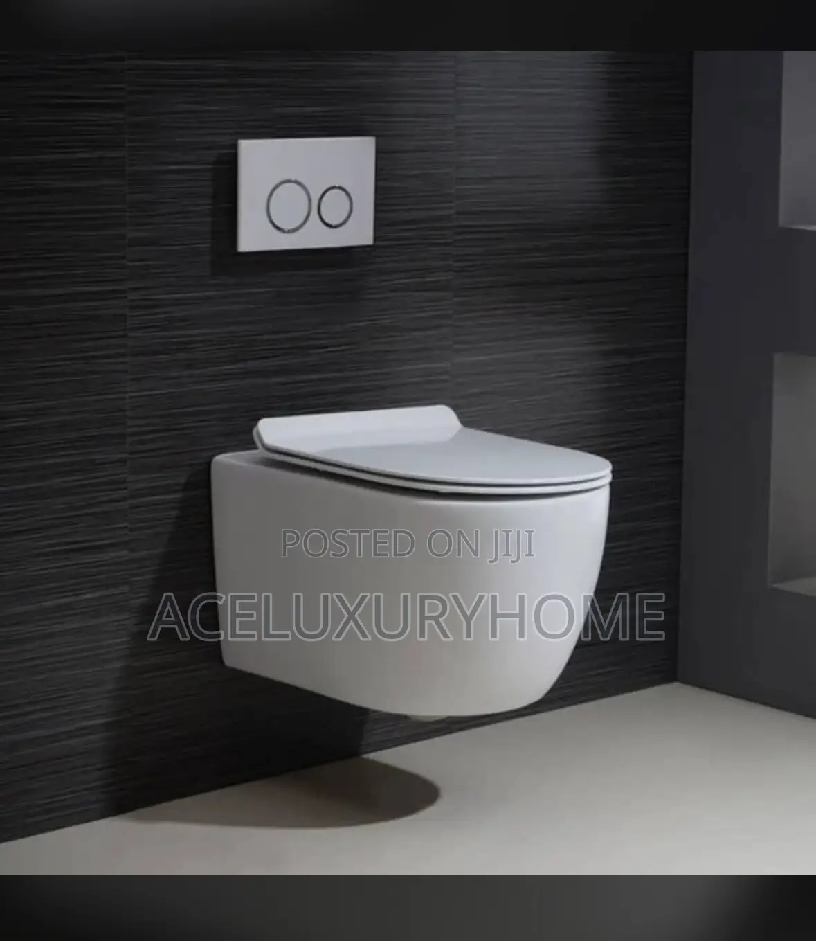 Wall Hung Water Closet Concealed