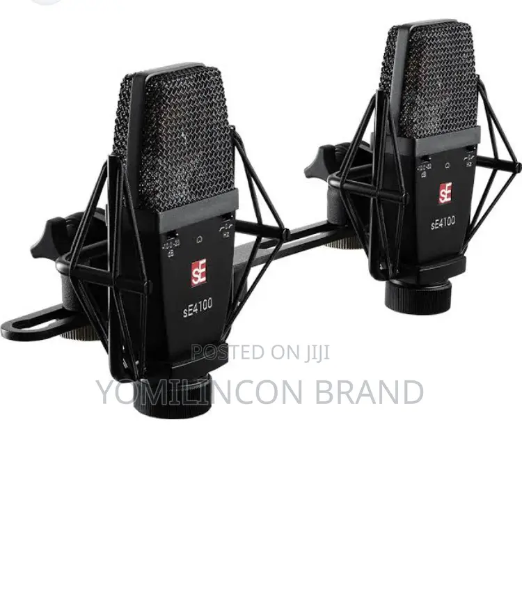Se Electronics Se4100 Large-Diaphragm Condenser Microphone