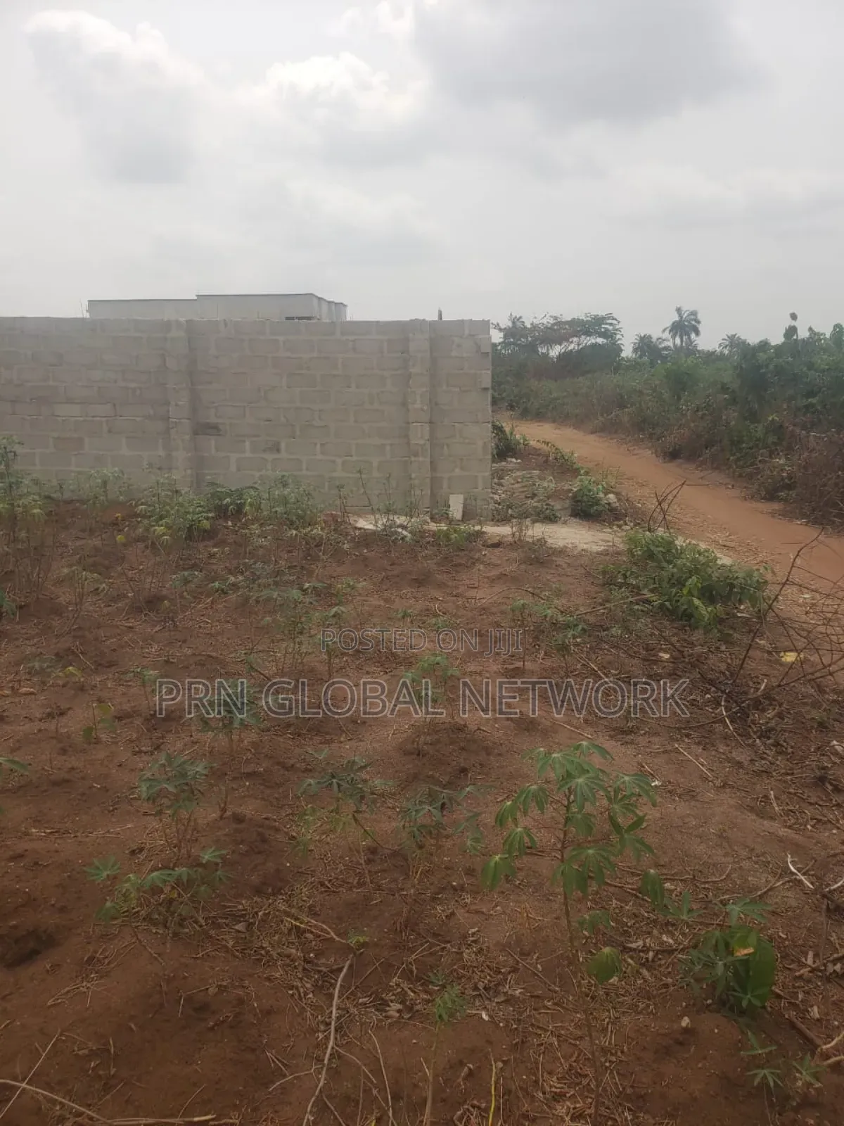 15 Plots of Land in McC/Uratta