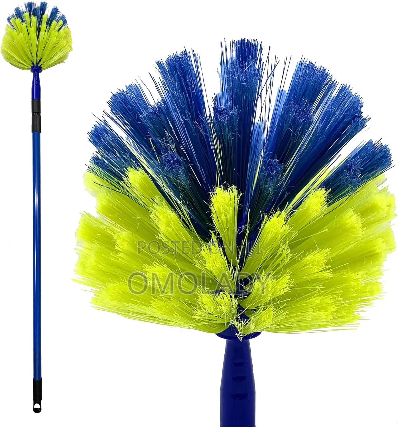 Telescopic Cobweb Brush Cleaner