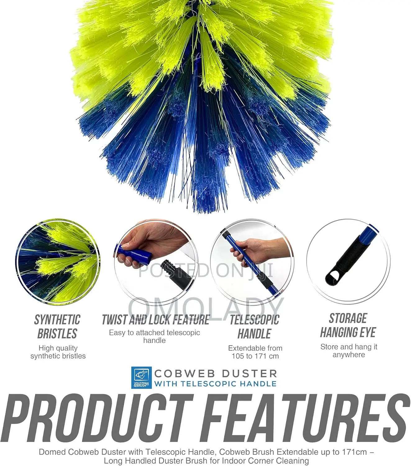 Telescopic Cobweb Brush Cleaner