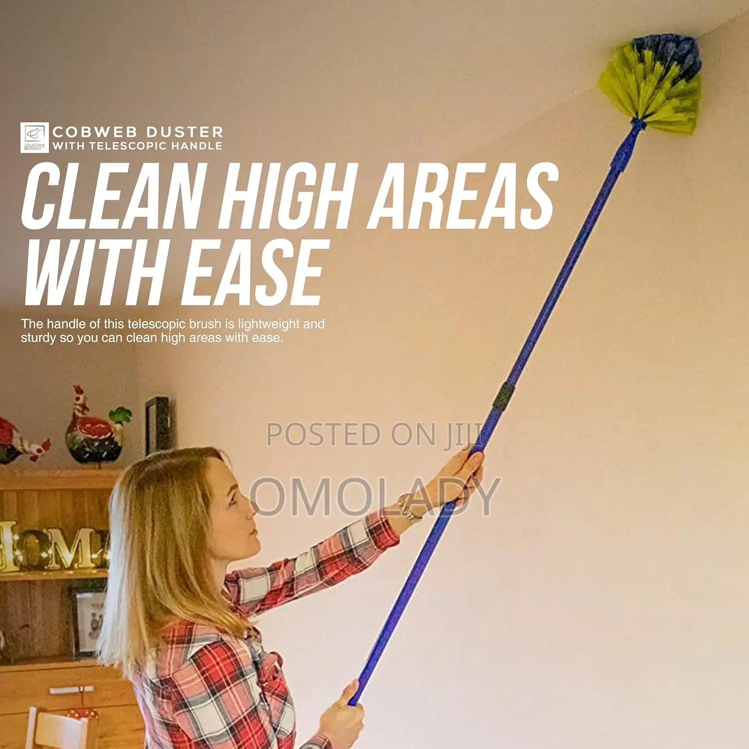 Telescopic Cobweb Brush Cleaner