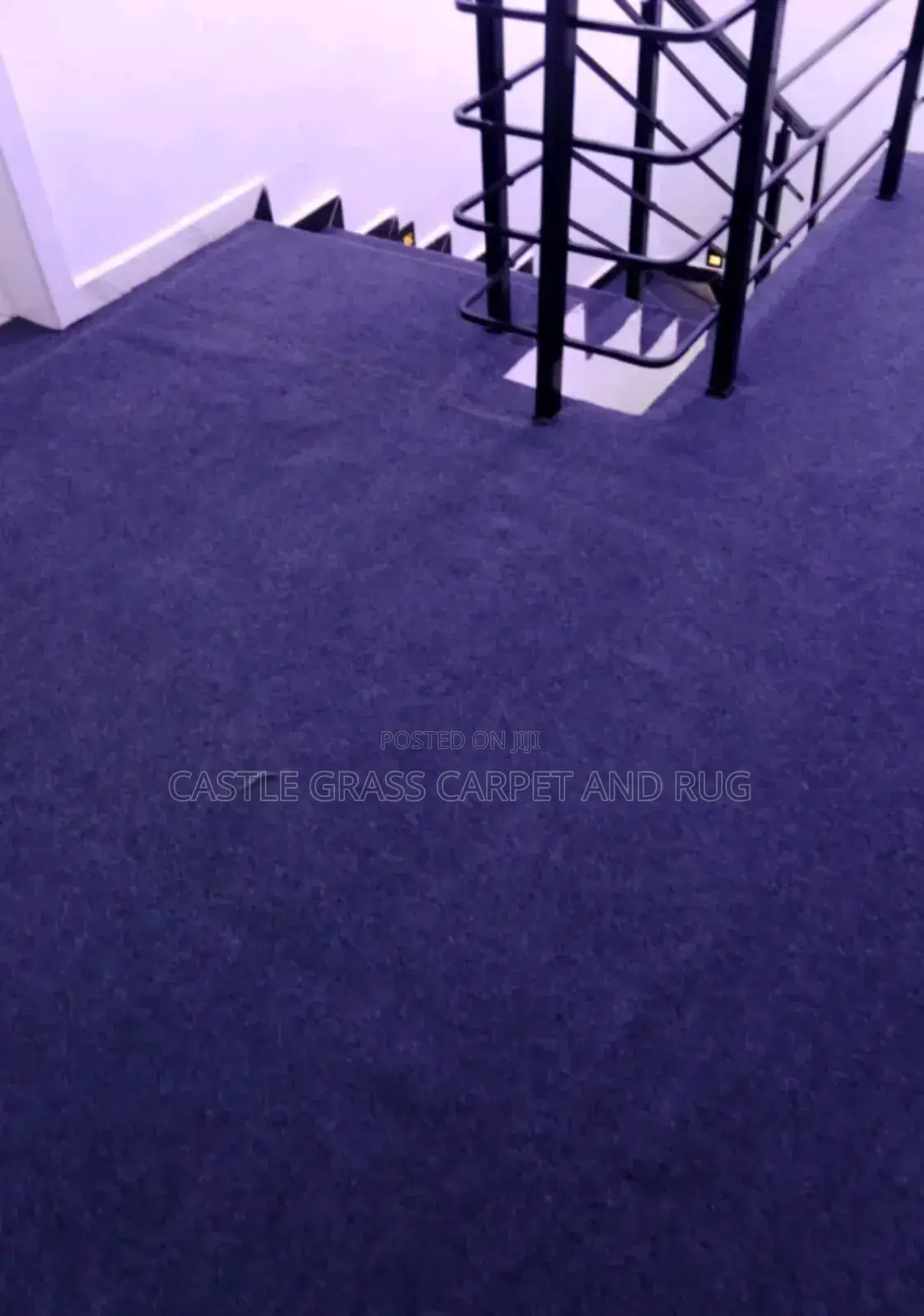 Top Grade Purple for All to Wall Rugs