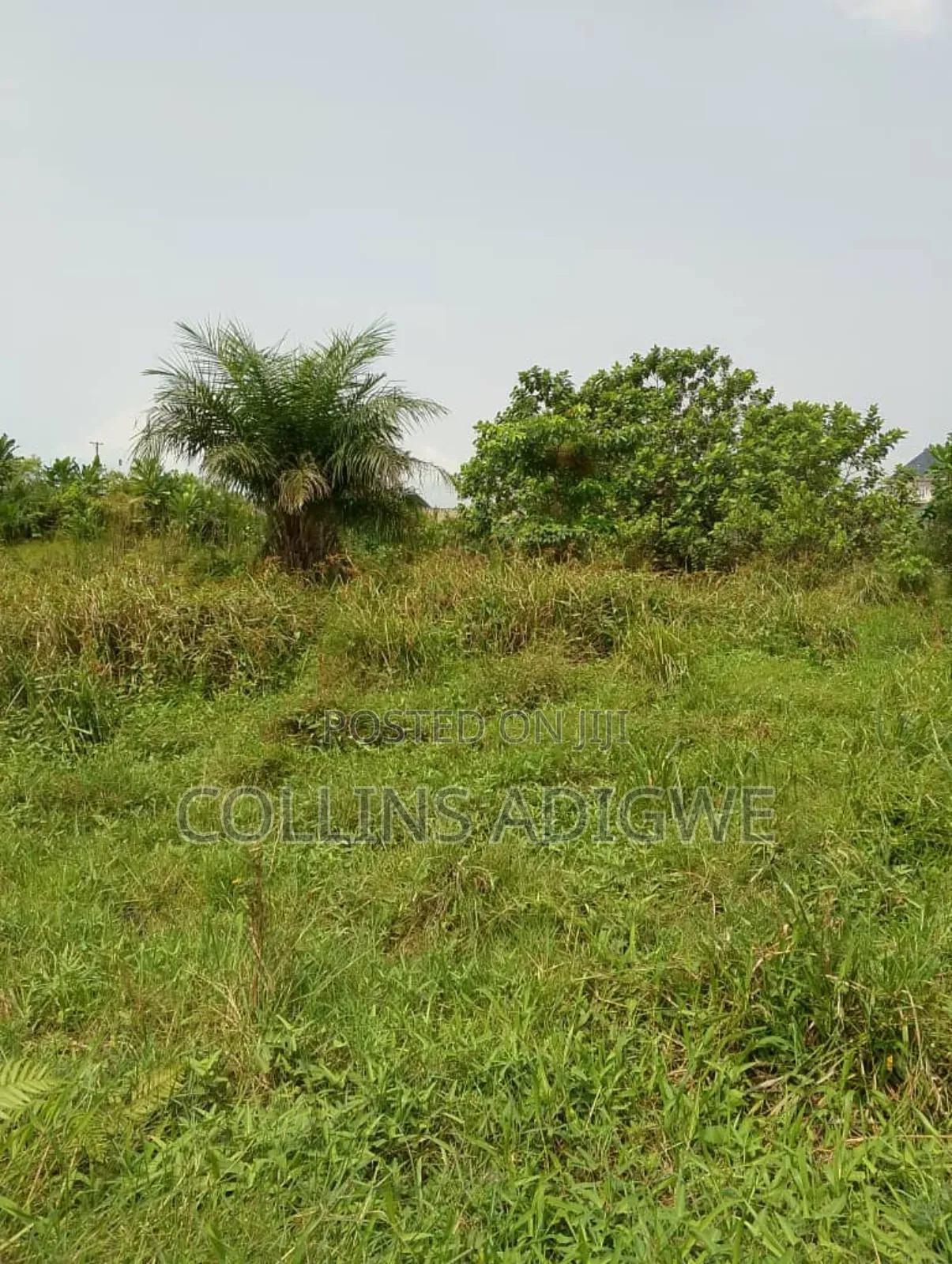 850 SQM Land at Lekki Peninsula Abraham Adesanya Ajah