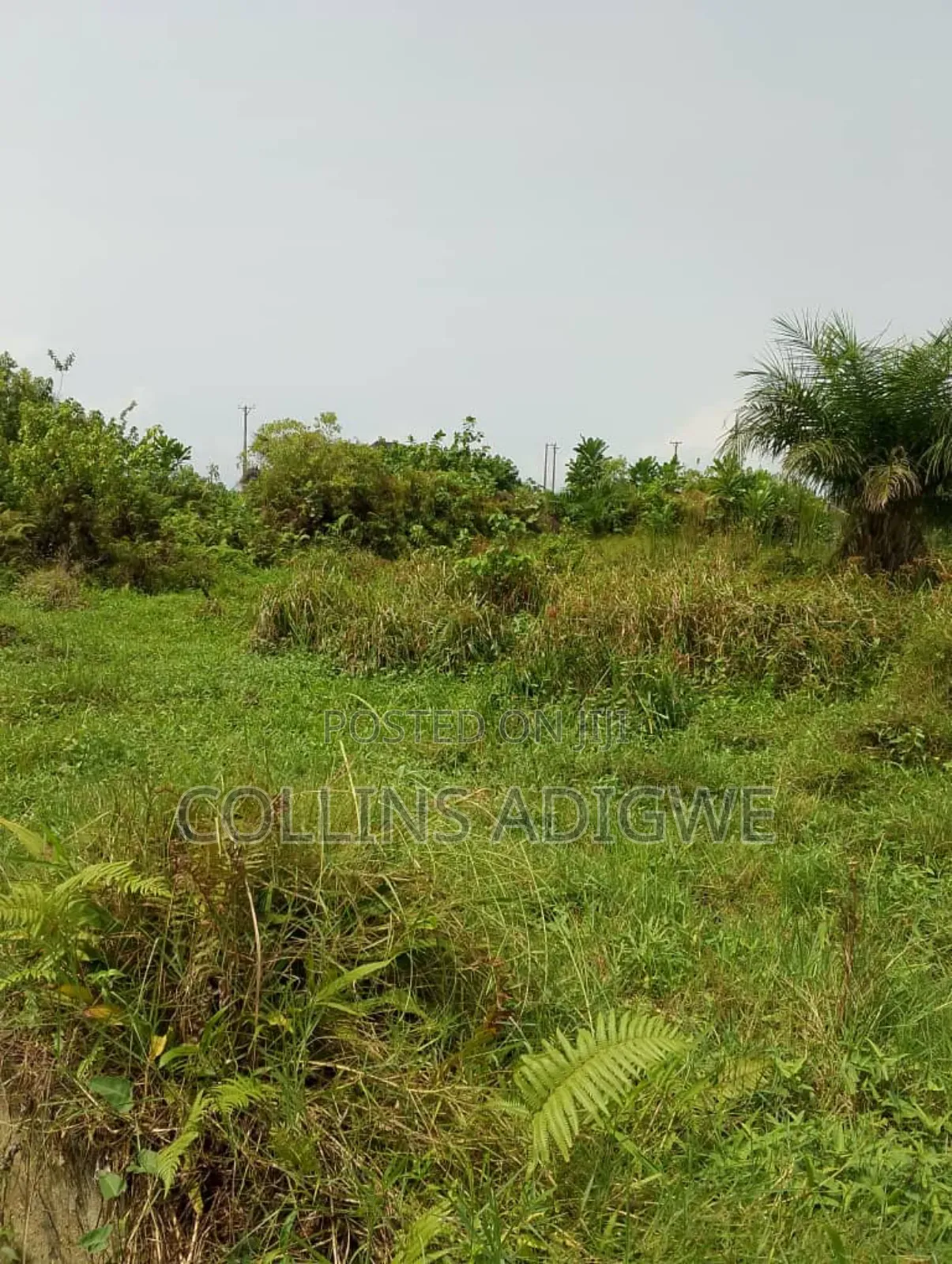 850 SQM Land at Lekki Peninsula Abraham Adesanya Ajah