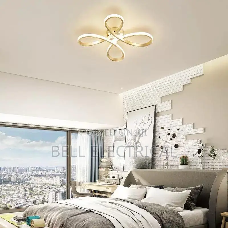 Luxury Led Ceiling Light