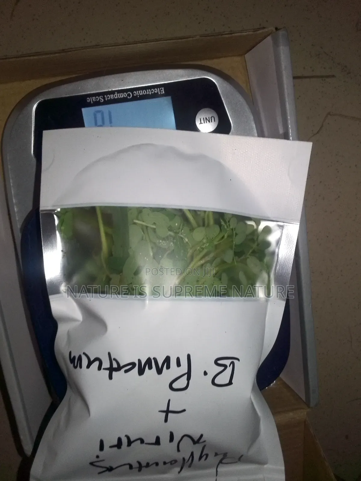 Herbs for Kidney Diseases, Dialysis and Renal Lithiasis