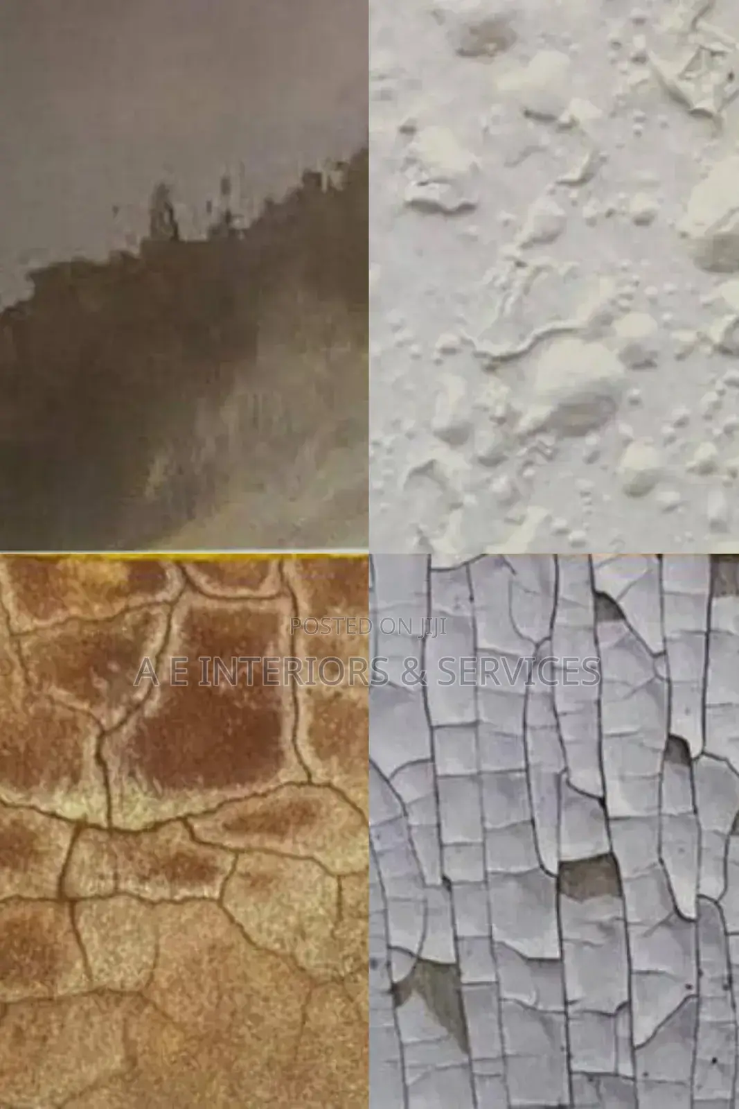 Repair of Defect Wall Damping, Cold Wall, Cracks, Algae