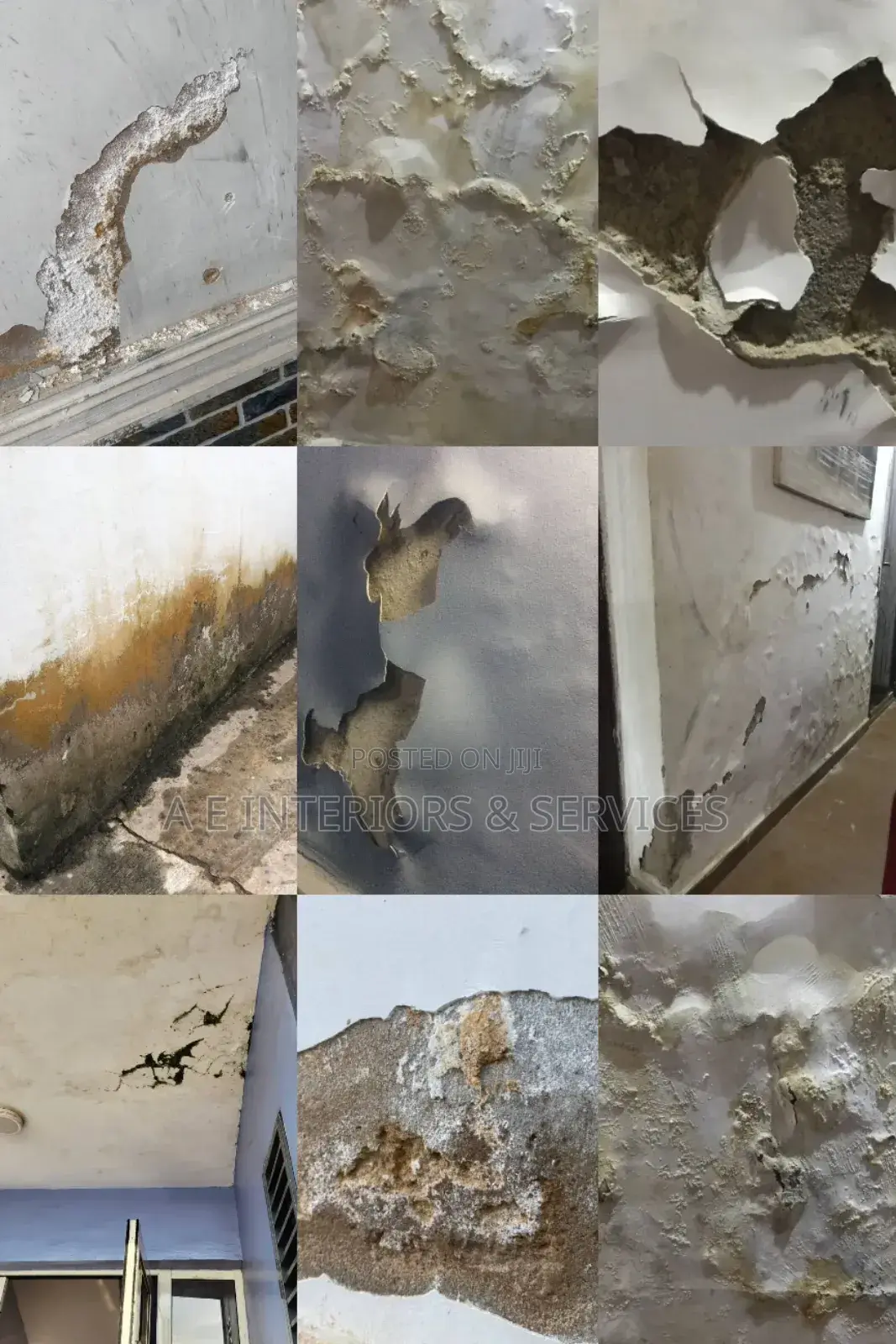 Repair of Defect Wall Damping, Cold Wall, Cracks, Algae