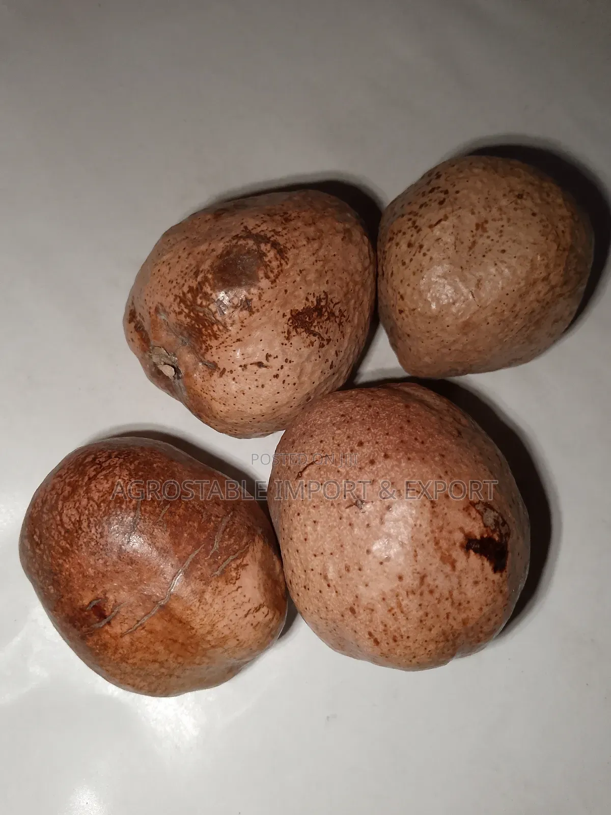 Doum Palm Fruit 1kg