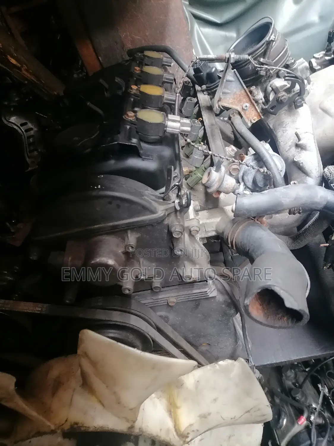 Mistbush L200 Engine
