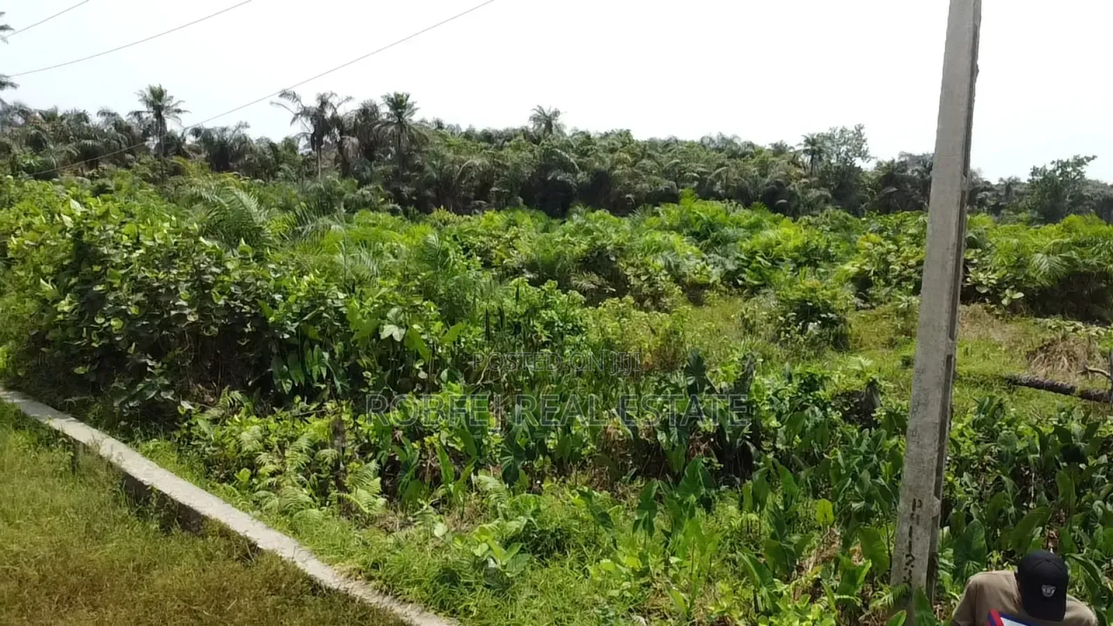 Urgent Sales 5 Acres Prime Land