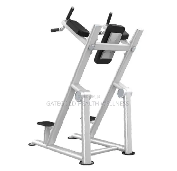 Kness Up/Dip / Chin Up (Dhz Brand) U2047