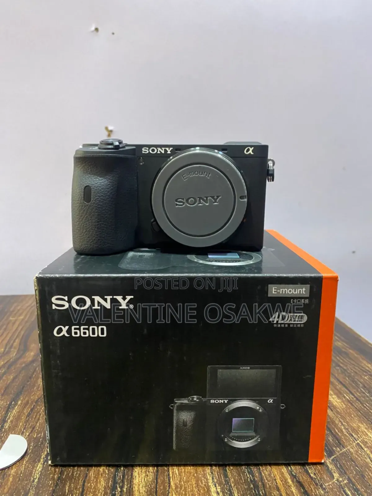 Sony A6600