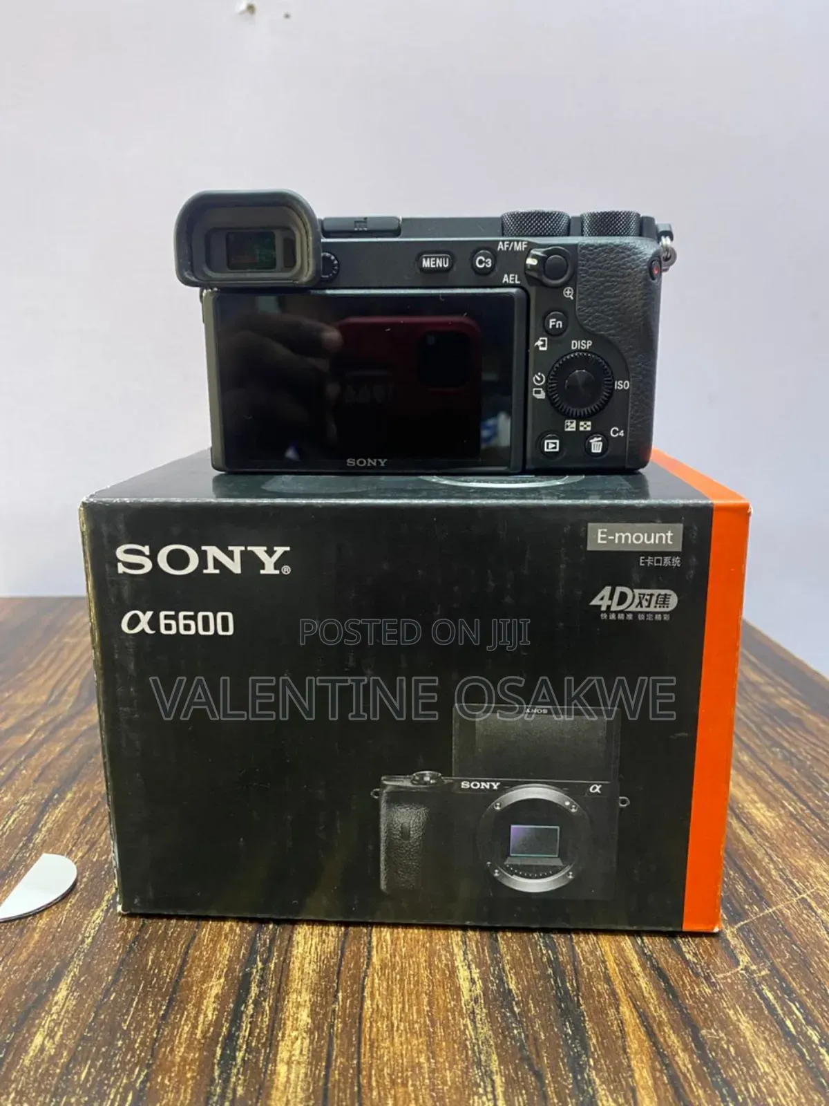 Sony A6600