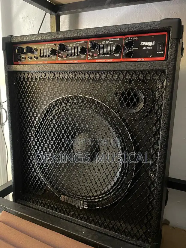 Lead Guitar Amplifier and Keyboard Combo