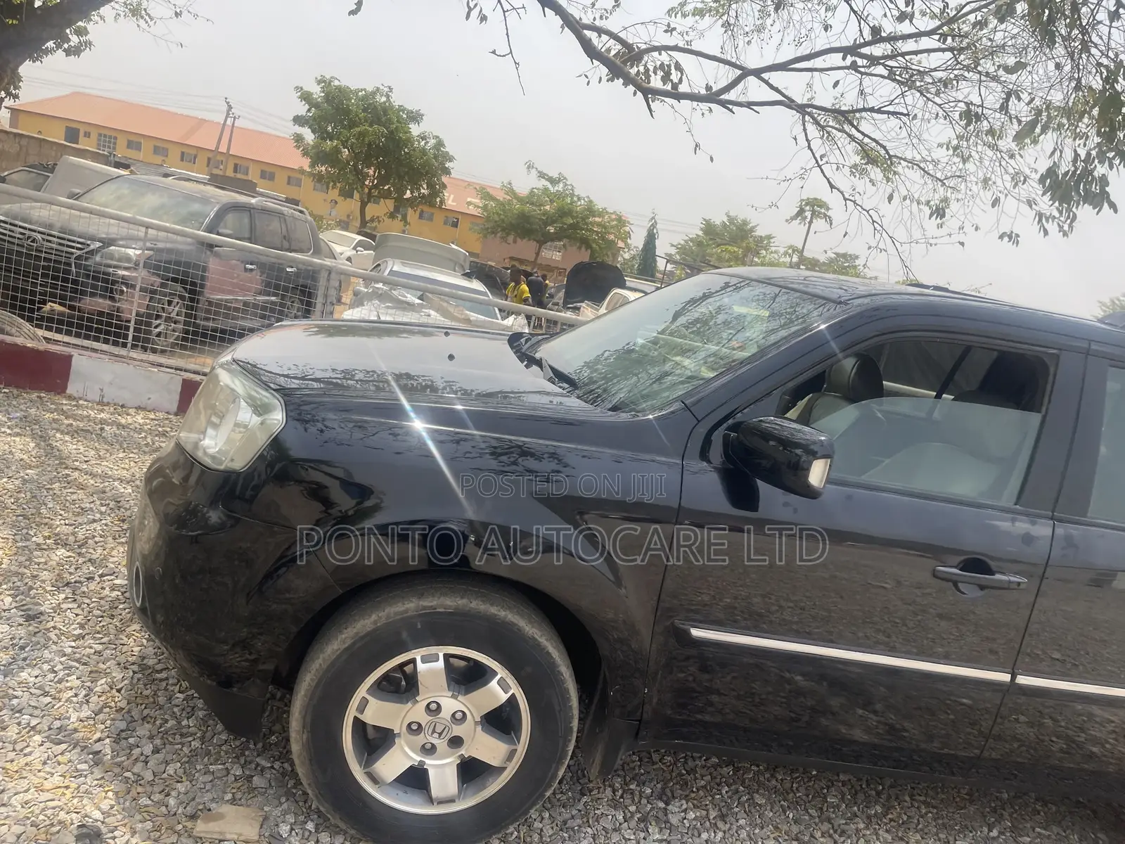Honda Pilot EX 4dr SUV (3.5L 6cyl 5A) 2014 Black