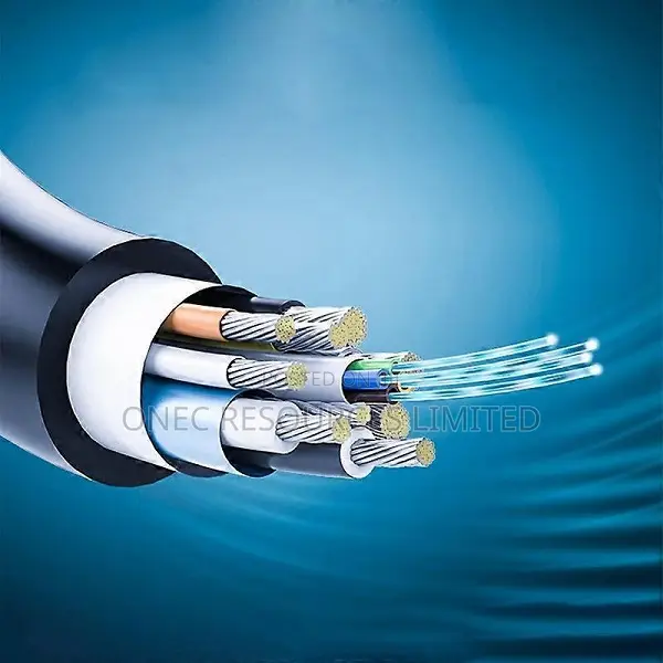 10m Displayport Cable At 60hz At 144hz High Speed