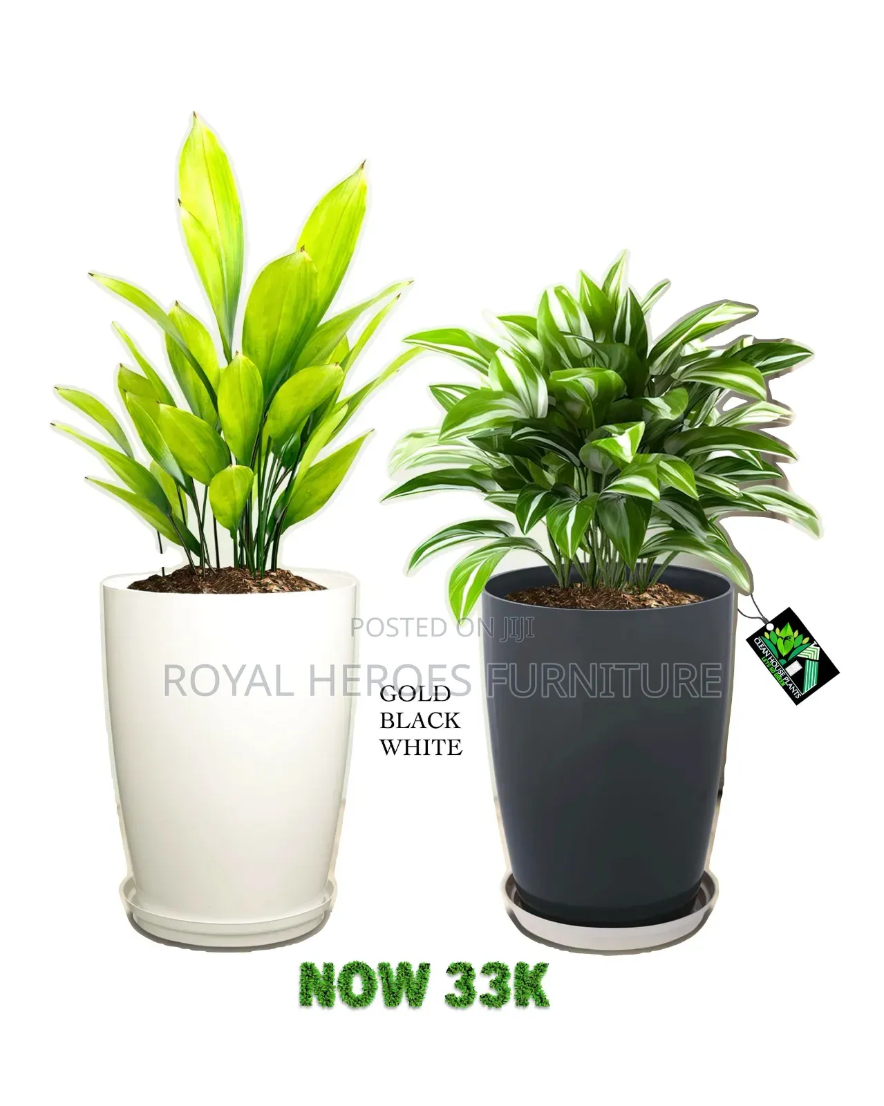 Planter Pots