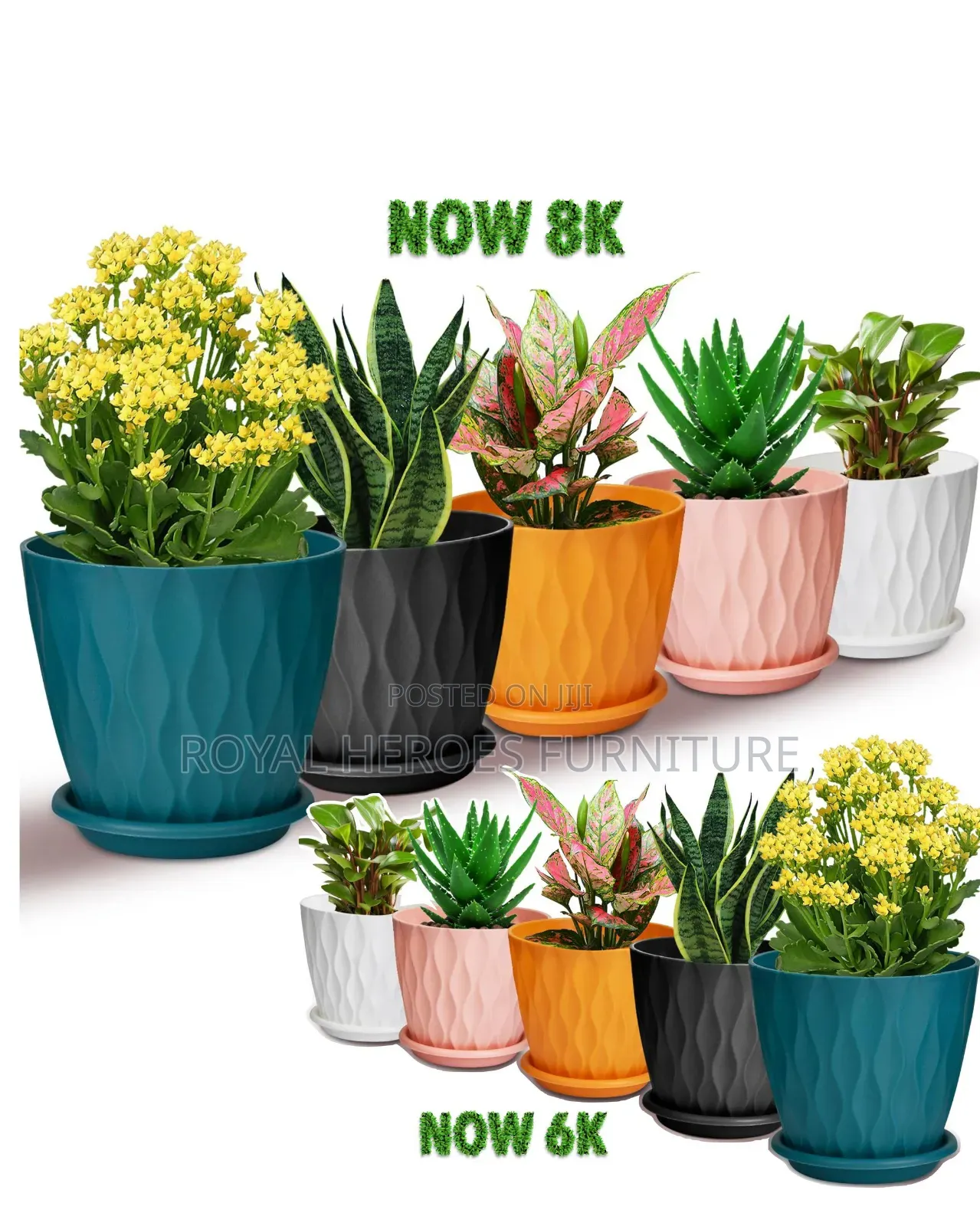 Flower Pot