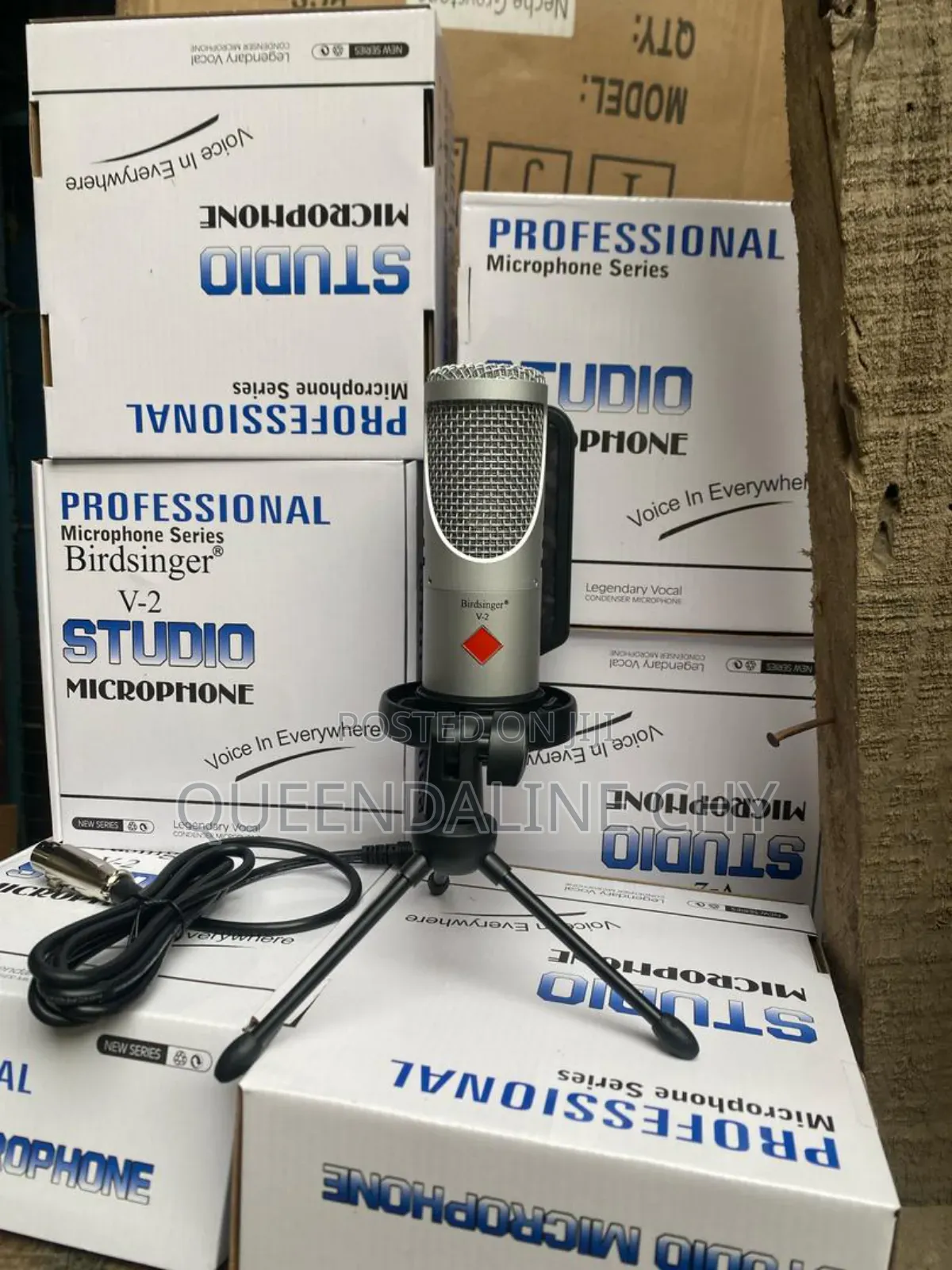V2 Bird Singer Condenser Microphone