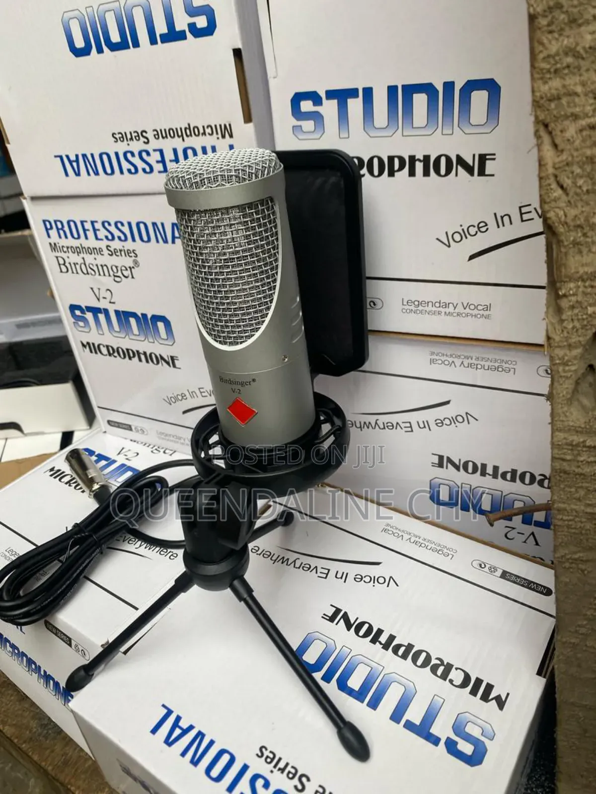 V2 Bird Singer Condenser Microphone
