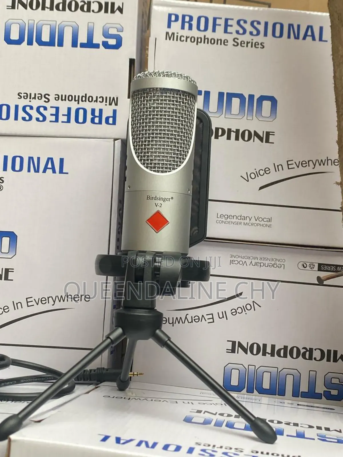V2 Bird Singer Condenser Microphone