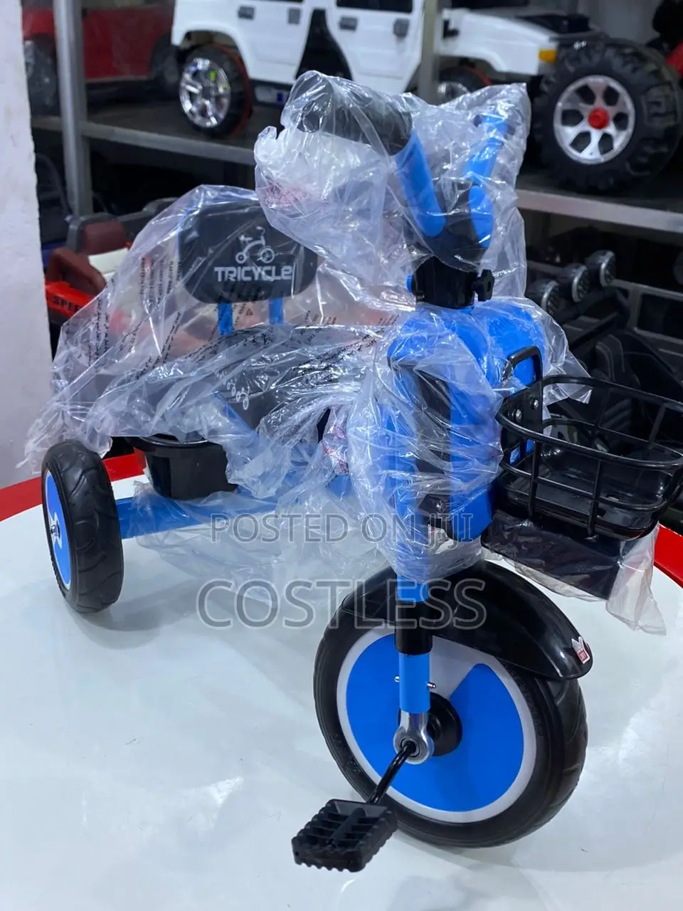 Evergreen Kids Tricycle With Loud Music