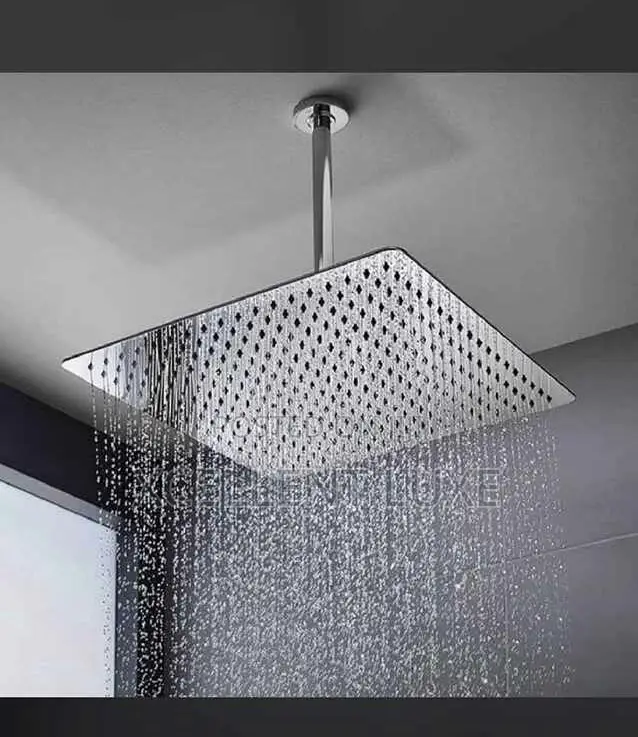 Original Top Ceiling Shower Rose