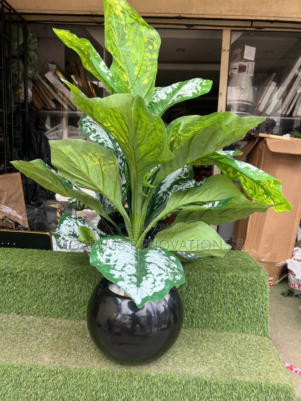 Indoor/Outdoor Fibre Vase and Plant .